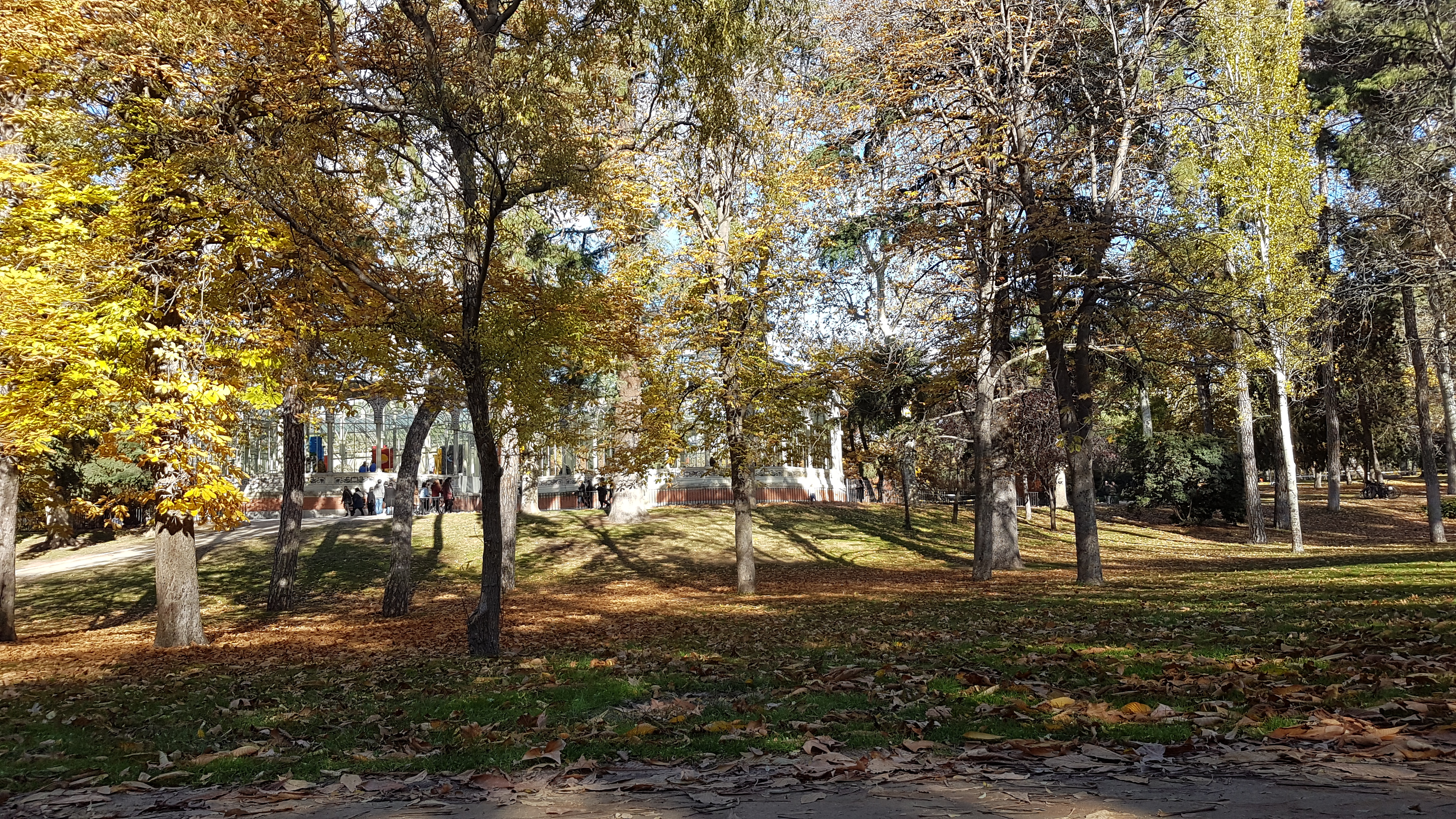 Madrid - park Retiro i gradski prizor