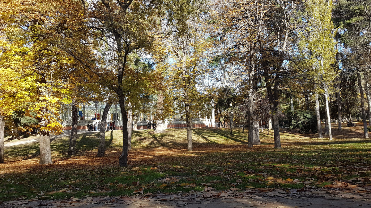 Madrid - park Retiro i gradski prizor