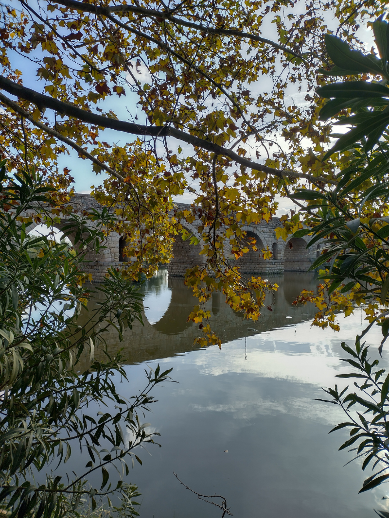 merida_11